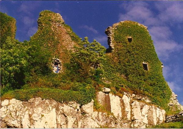 Carrigogunnel