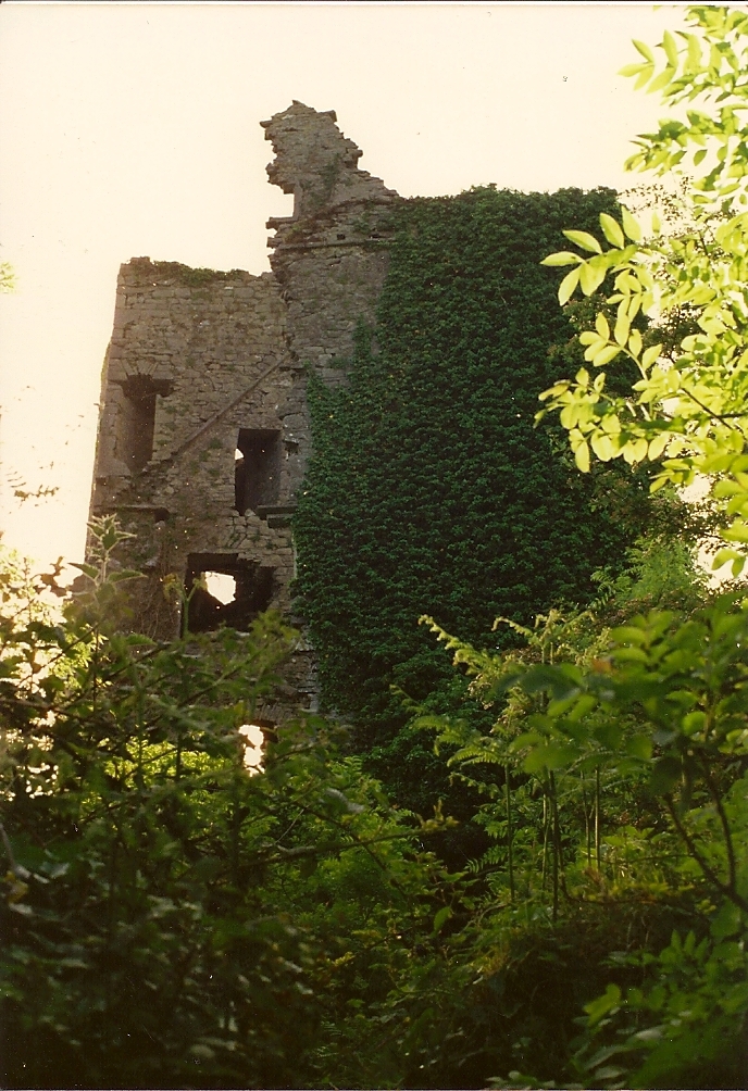 Carrigogunnel