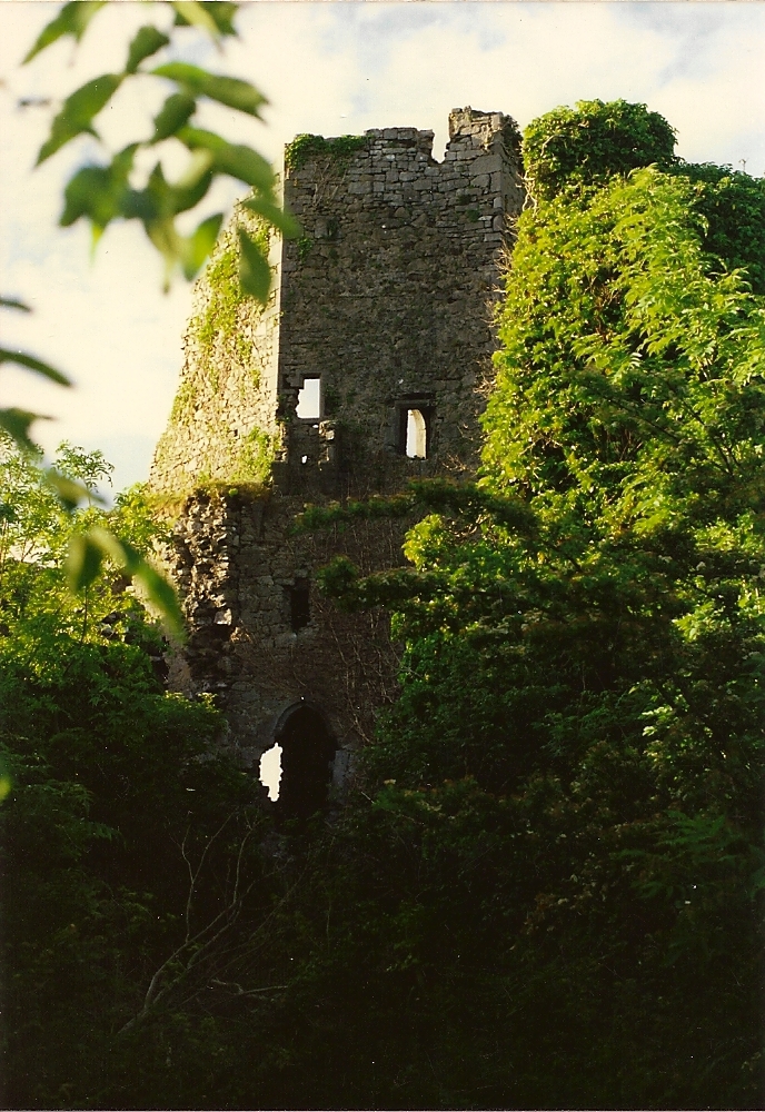 Carrigogunnel