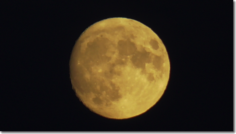 “Moon,