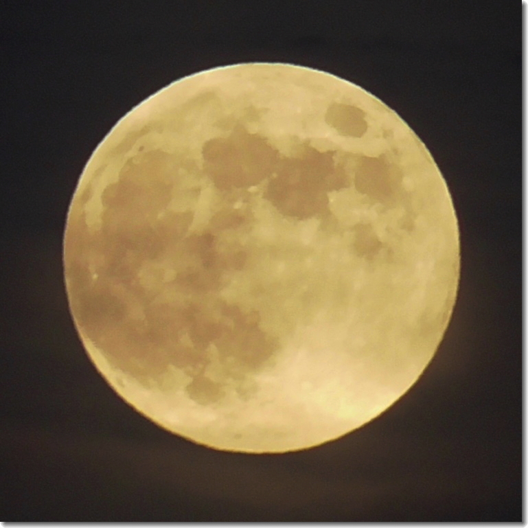 “Moon,