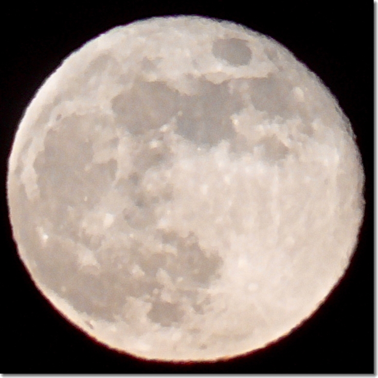 “Moon,