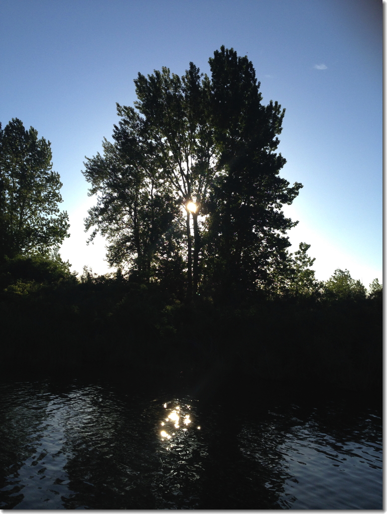 “Sun