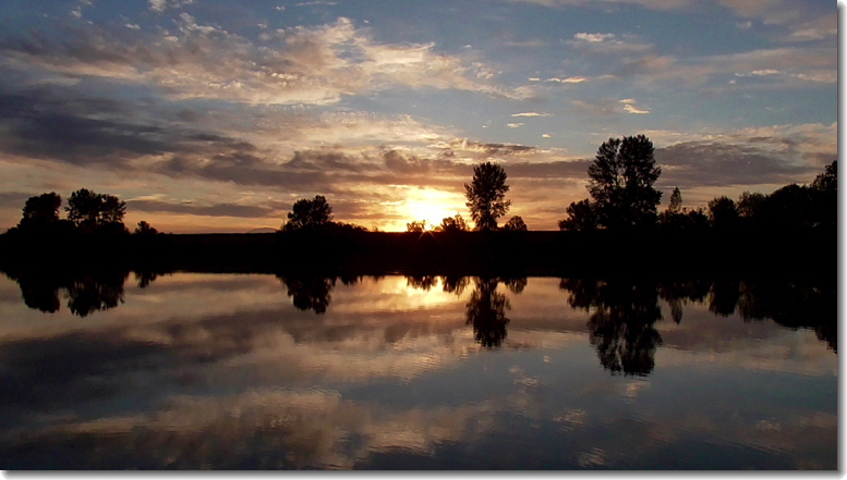 “Sunrise,