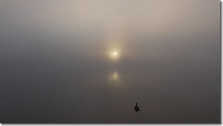 “Sunrise,