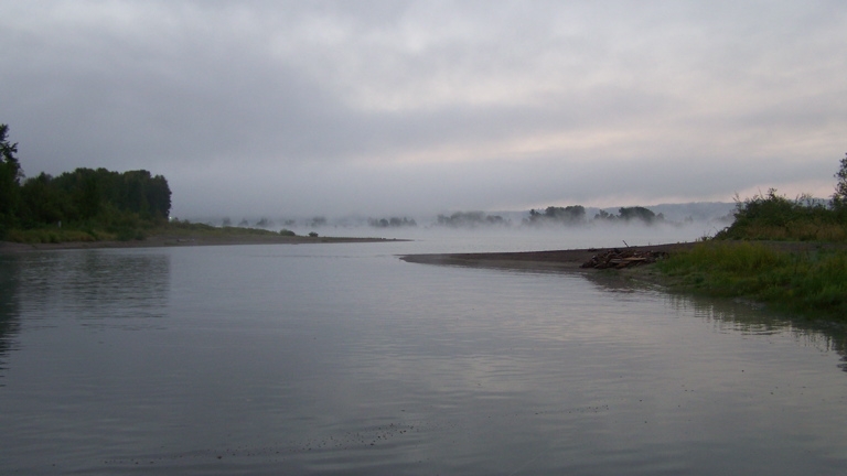 Foggy morning, September 20th, 2009