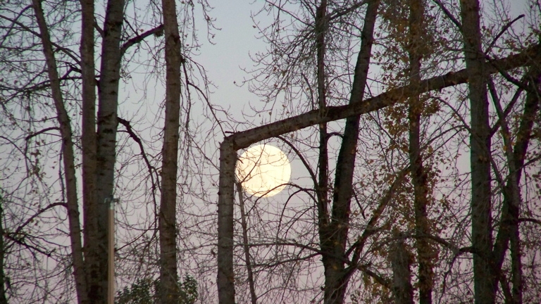 Moon, December 1st, 2009