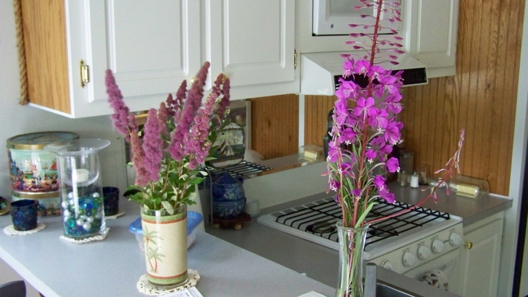 Purple flowers, June 25th, 2009