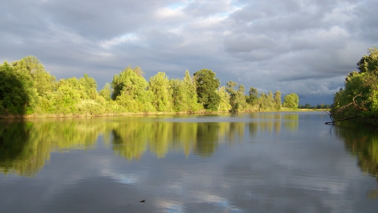 The view from the front deck, June 19th, 2009