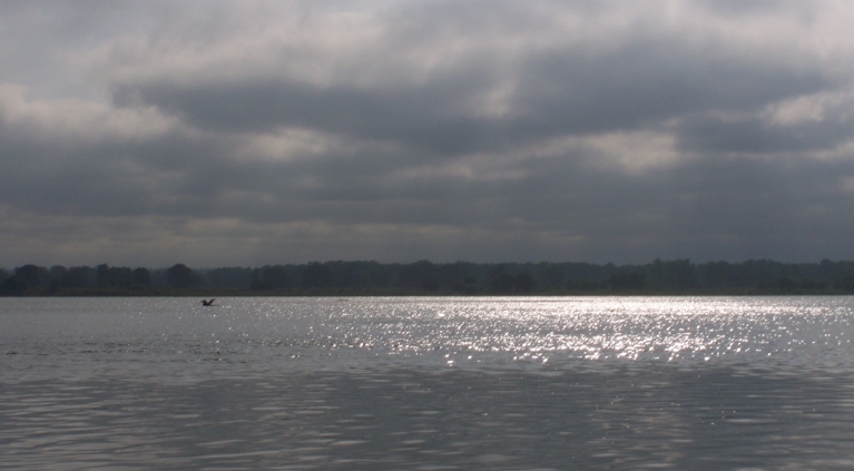 Goodbye Sturgeon Lake, for now, July 11th, 2009